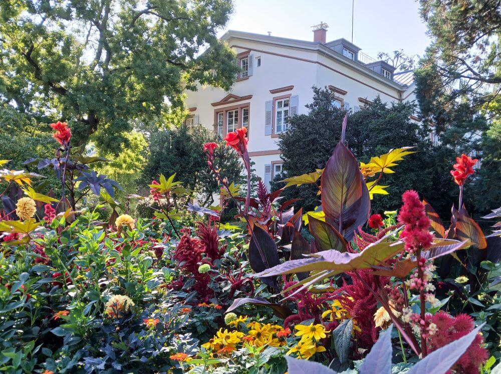 20240827_095257HH - red